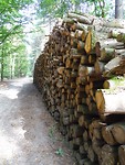 Reusachtige houtstapel!