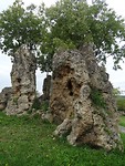 Nymphs Stones!