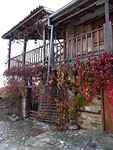 Herfst!
