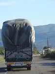 Katoenwagens!