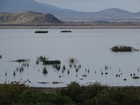 Lake Karla!