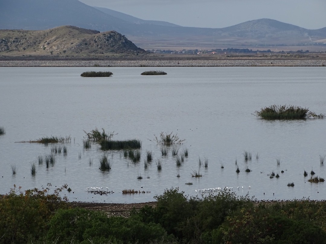 Lake Karla!