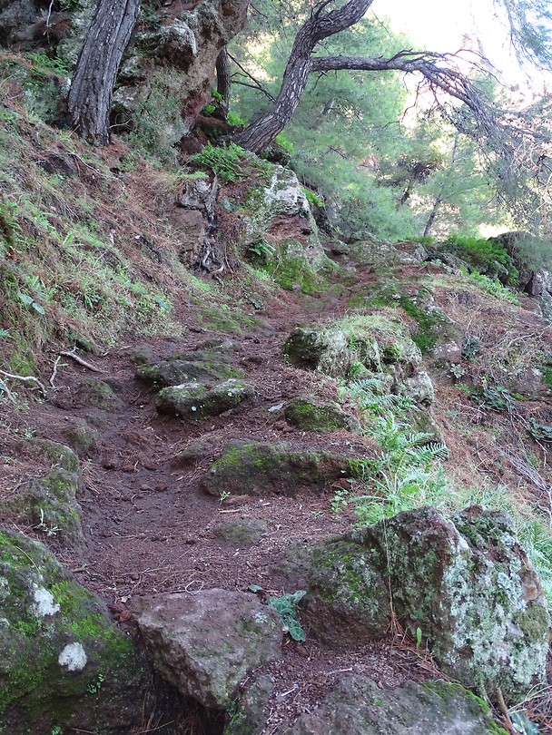 Smalle paadjes!