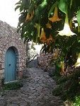Kardamyli!