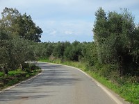 Richting Kyparissia!