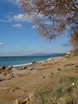 Kalo Nero!