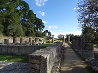 Olympia!