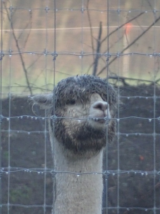 Goedemorgen!