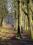 Landgoed Nieuwkerk!