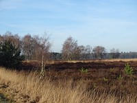 De Regte Heide!