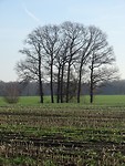 Landgoed Nieuwkerk!