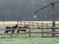 En de Groeten van Pippie! 😈