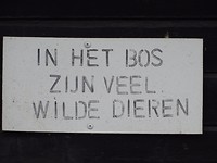 Pas op! Wel twee doldwaze zusjes!