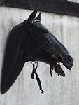 Paard!