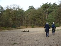 Loonse en Drunense duinen!