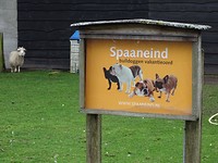 Vakantieoord voor buldoggen!