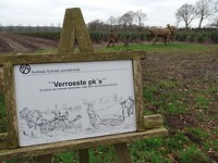 Kunst langs de route!