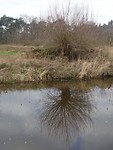 Langs de Reusel!
