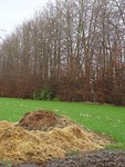 Weer eentje!