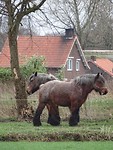 Gezellig samen!