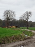 Grijze en grauwe dag!