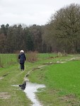Buiten Hilvarenbeek!