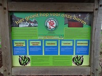 Bierbrouwerij De Roos!