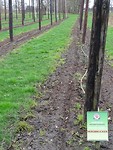 Hop voor de dorpsbrouwerij!
