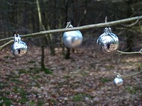 Kerstmis in Februari! Ongewoon?