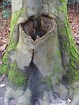 Natuur WCeetje! Ongewoon?