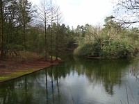 Wandelbos! Gewoon of Ongewoon?