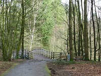 Wandelbos!