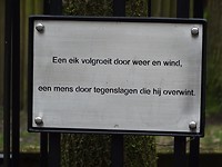 De Groeten van de Heilige Boontjes!