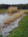 Riviertje De Reusel!