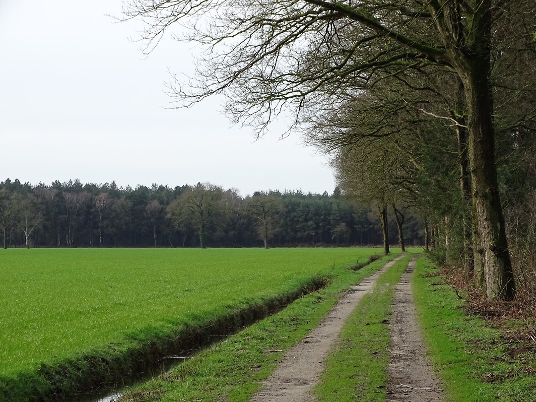 Akkers en Bos!