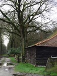 Oude schuur!