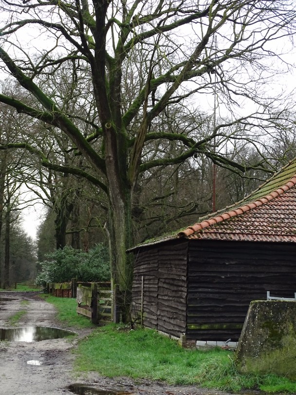 Oude schuur!