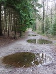 Nat in het bos!