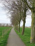Polder!