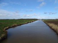 De weidse Polder!