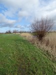De Polder!