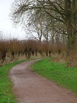 Pad langs de grienden!