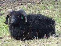 Leuke kop!