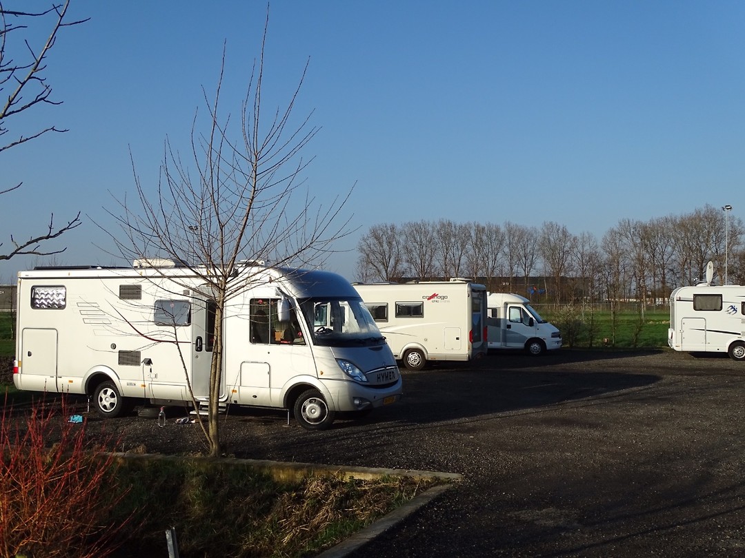 Soms gezelschap, soms alleen!