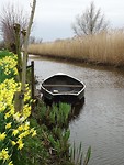 Schelluinsche Vliet!
