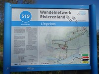 Lingebos!