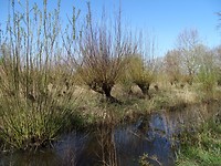 Prachtig weer!