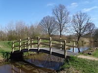 Lingebos!