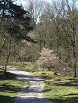 Loonse en Drunense Duinen!