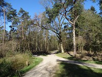 Kruispunt van het Leven! Welke weg kiezen we?